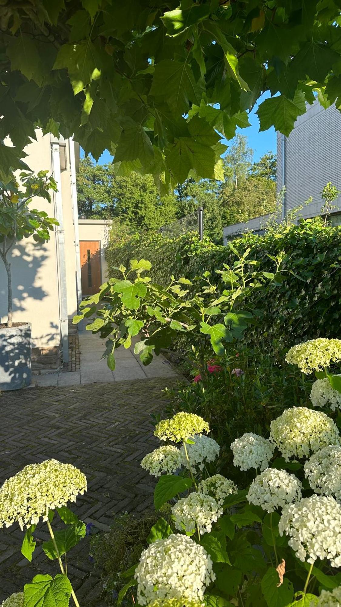 Luxe B&B "In De Schulp", Ontspan En Geniet Van Comfort En Stijl Άμστελβεεν Εξωτερικό φωτογραφία